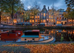 Holandia, Amsterdam, Domy, Kanał, Drzewa, Jesień