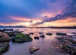 Australijskie miasto Sydney w porannym słońcu