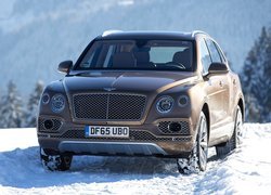 Bentley Bentayga na śniegu