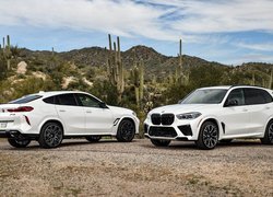 Dwa, Białe, BMW X6 M, BMW X5 M, Competition