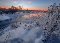 Rzeka Usolka, Rośliny, Drzewa, Zima, Wschód słońca, Kraj Permski, Rosja