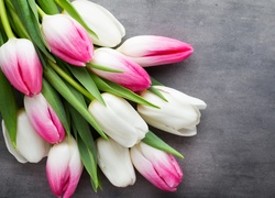 Bukiet biało-różowych tulipanów