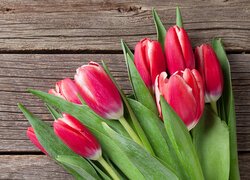 Bukiet czerwonych tulipanów na deskach