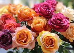 Kolorowe, Róże, Bukiet, Zbliżenie