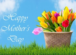 Bukiet tulipanów w koszu z życzeniami na Dzień Matki
