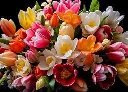 Bukiet tulipanów w zbliżeniu