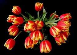 Bukiet żółto czerwonych tulipanów