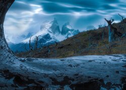 Park Narodowy Torres del Paine, Chile, Drzewo, Góry