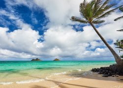 Hawaje, Wyspa Maui, Plaża, Morze, Palmy, Chmury