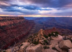 Stany Zjednoczone, Kolorado, Park Narodowy Wielkiego Kanionu, Grand Canyon, Skały, Chmury, Drzewa