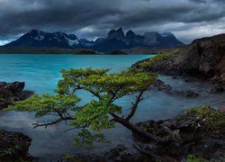 Góry, Andy, Chmury, Jezioro, Lake Pehoe, Kamienie, Park Narodowy Torres del Paine, Drzewa, Cordillera Paine, Patagonia, Chile