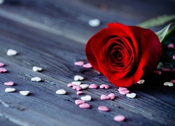 Czerwona róża i rozsypane serduszka