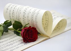 Kwiat, Róża, Czerwona, Nuty, Zapis, Melodia, Muzyka