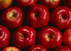 Czerwone jabłka