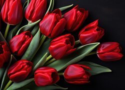 Czerwone tulipany w rozkwicie na czarnym tle