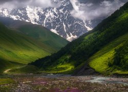 Góry, Zalesione, Wzgórza, Kwiaty, Trawa, Mgła, Dolina, Rzeka Inguri, Region Swanetia, Gruzja