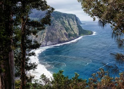 Morze, Wybrzeże, Dolina Waipio Valley, Hawaje