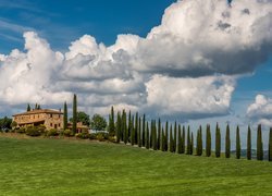 Dom i cyprysy na wzgórzu Toskanii