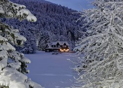 Dom obok lasu zimową porą