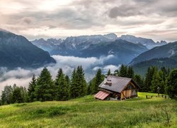 Dom pod lasem na tle Dolomitów