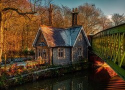 Dom, Drzewa, Most, Rzeka, Kanał, Bridgewater Canal, Barton upon Irwell, Eccles, Anglia