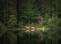 Domek w lesie iglastym nad jeziorem