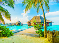 Lato, Wakacje, Wyspa, Malediwy, Morze, Domki, Drewniane, Pomosty, Palmy, Rośliny