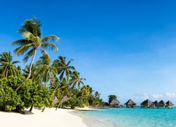 Domki na palach przy plaży porośniętej palmami na Malediwach