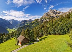 Domki, Droga, Góry, Alpy Glarneńskie, Braunwald, Kanton Glarus, Szwajcaria