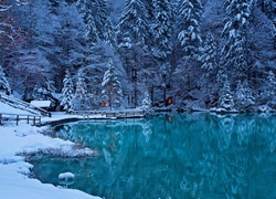 Szwajcaria, Dolina Kandera, Zima, Jezioro Blausee, Drzewa, Świerki