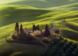 Domy i drzewa pośród zielonych wzgórz Toskanii