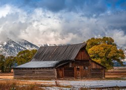 Drewniana, Chata, Stodoła, Góry Teton Range, Drzewa, Chmury, Park Narodowy Grand Teton, Stan Wyoming, Stany Zjednoczone
