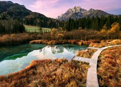 Słowenia, Kranjska Gora, Rezerwat przyrody Zelenci, Jezioro Zelenci, Góry, Drzewa, Drewniany, Pomost, Jesień