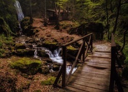 Drewniany mostek nad rzeczką i altanka w lesie