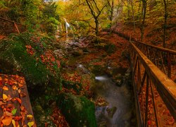 Drewniany mostek nad rzeczką pośród jesiennych drzew