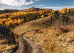 Droga pośród jesiennych wzgórz w Kraju Ałtajskim