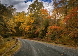 Droga prowadząca przez las jesienią
