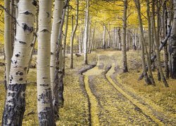 Droga przez brzozowy zagajnik w Telluride w stanie Kolorado