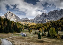 Góry, Dolomity, Dolina Fassa, Val di Fassa, Drzewa, Łąki, Domki, Ścieżka, Chmury, Pozza di Fassa, Włochy