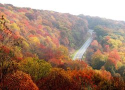 Jesień, Drzewa, Liście, Droga, Wzgórza