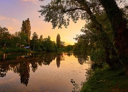 Zachód słońca, Staw, Park, Floridsdorfer Wasserpark, Drzewa, Wiedeń, Austria