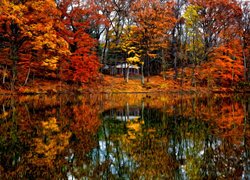 Drzewa i altana nad jeziorem jesienią