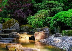 Drzewa i kamienie nad strumieniem w ogrodzie japońskim