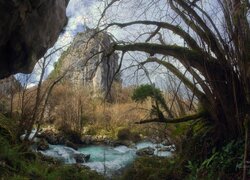 Drzewa i skały nad rzeką Rio Sella w Hiszpanii