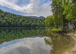 Jezioro, Toplitzsee, Brzeg, Las, Drzewa, Góry, Alpy, Odbicie, Chmury, Austria