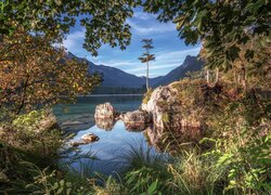Drzewa na skałach nad górskim jeziorem Hintersee