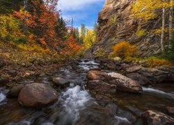 Potok, Kamienie, Drzewa, Jesień, Park Narodowy Gór Skalistych, Kolorado, Stany Zjednoczone