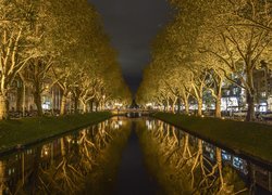 Drzewa nad kanałem na bulwarze Konigsallee w Dusseldorfie