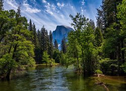 Góry, Szczyt Half Dome, Rzeka, Merced River, Drzewa, Park Narodowy Yosemite, Kalifornia, Stany Zjednoczone