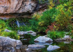 West Fork Oak Creek, Drzewa, Rzeka, Skały, Kamienie, Sedona, Arizona, Stany Zjednoczone